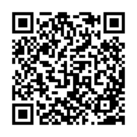 QR code for 480PMG