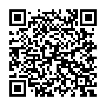 QR code for 4810NS