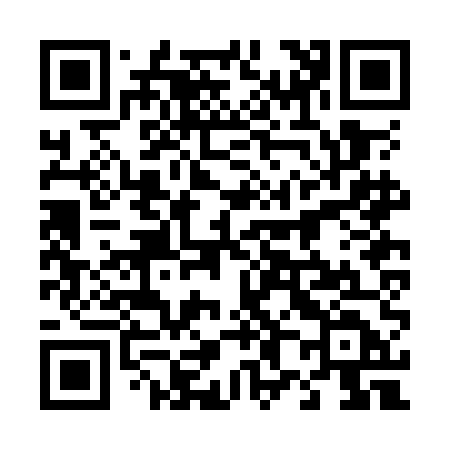 QR code for 482OED