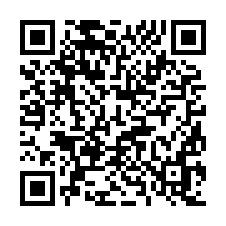 QR code for 4838IN