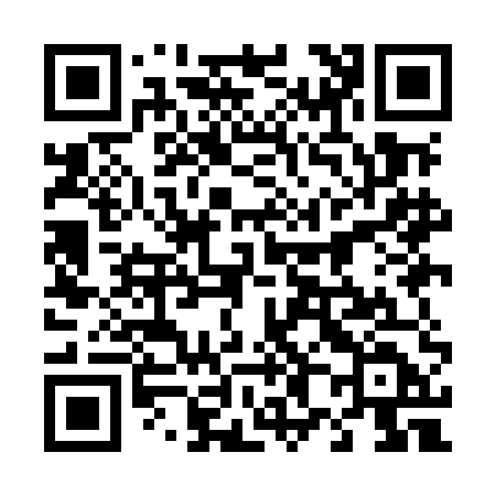 QR code for 489MED