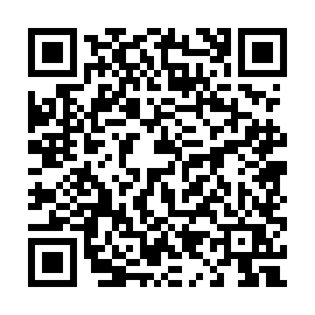 QR code for 4905LQR