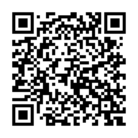 QR code for 491FLM