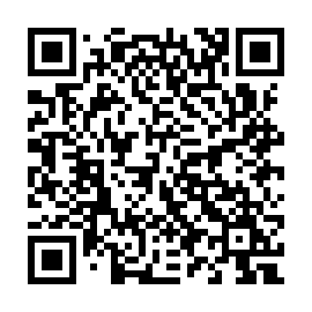 QR code for 491IVM