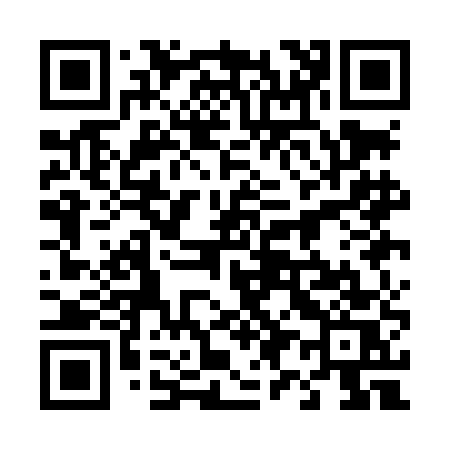 QR code for 491LES