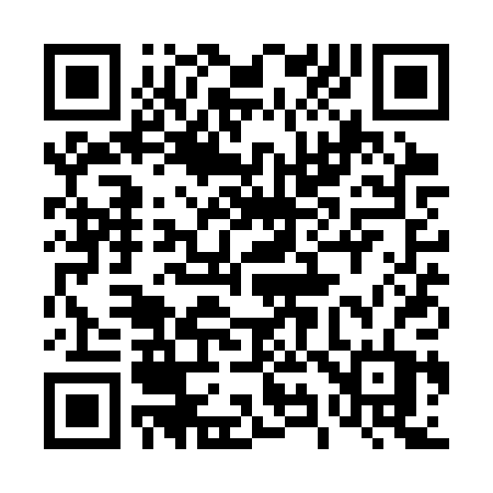 QR code for 491SPT
