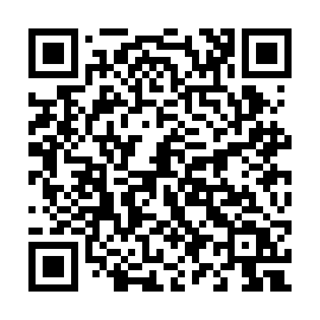 QR code for 493BBT