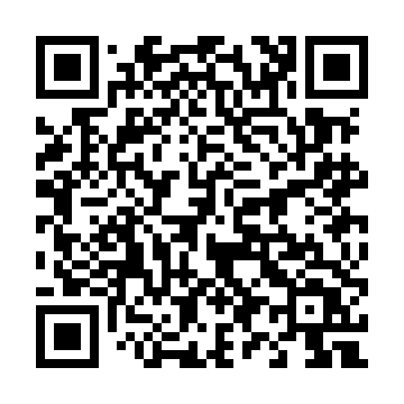QR code for 493MDT