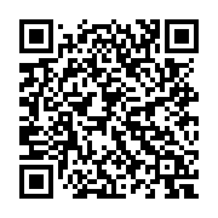 QR code for 493ORT