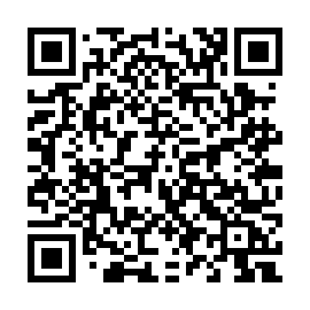 QR code for 493PNC