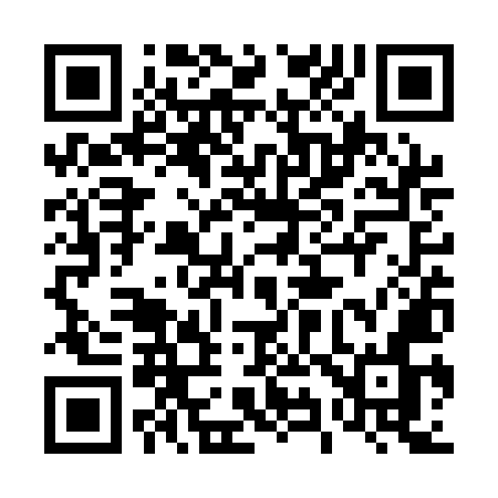 QR code for 493QMN