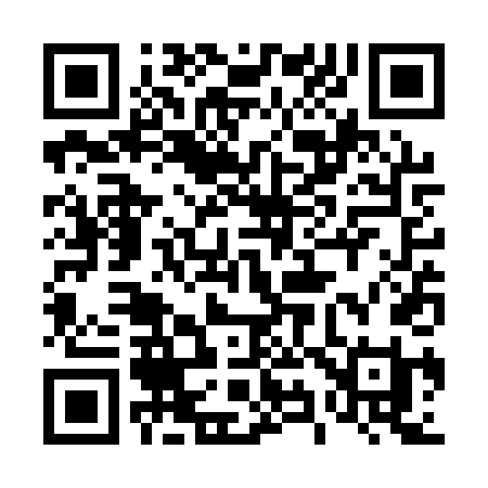 QR code for 493QTI