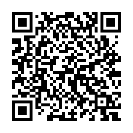 QR code for 493SST