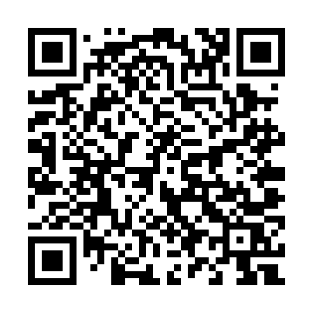 QR code for 494PNS