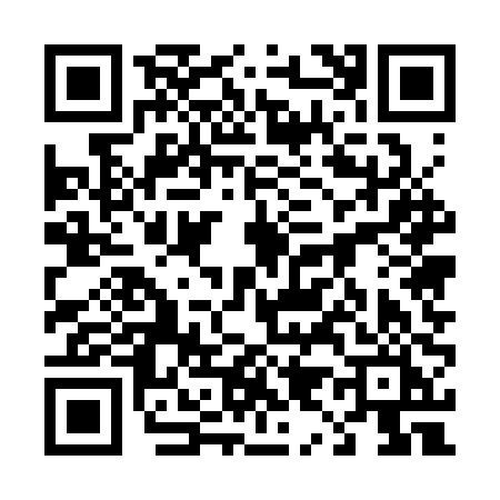 QR code for 4953PIN