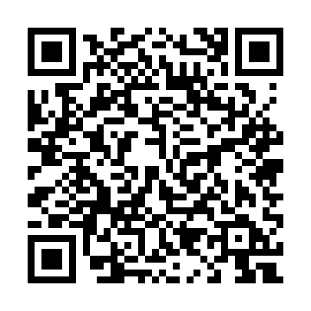 QR code for 4953QDF