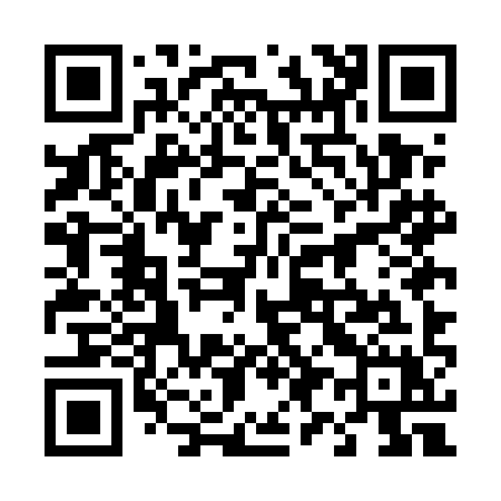 QR code for 495EIX