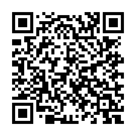 QR code for 495NML