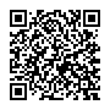 QR code for 495VLM
