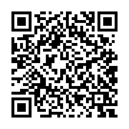 QR code for 4966DSK