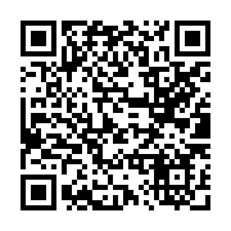QR code for 496ZHO