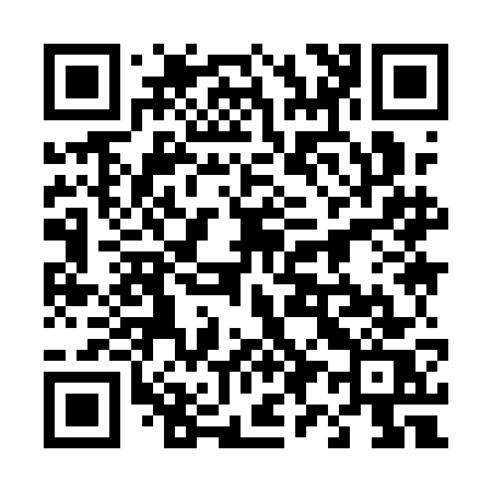 QR code for 4991GS