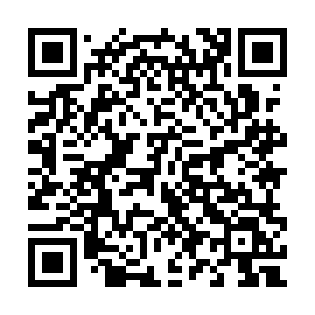 QR code for 4991LL
