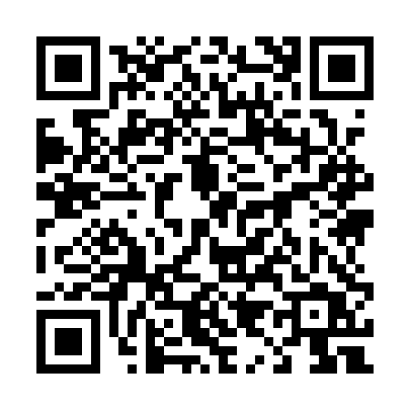 QR code for 4991TTZ