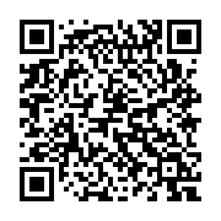 QR code for 4991ZL