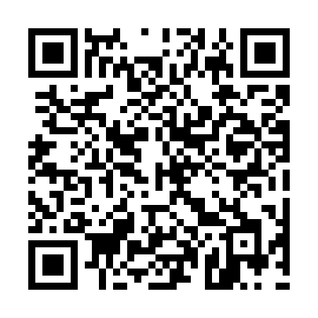 QR code for 5007PH