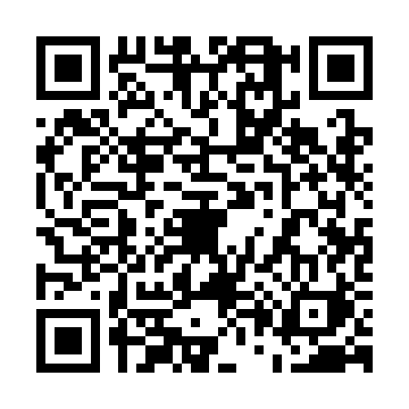 QR code for 5013BIR