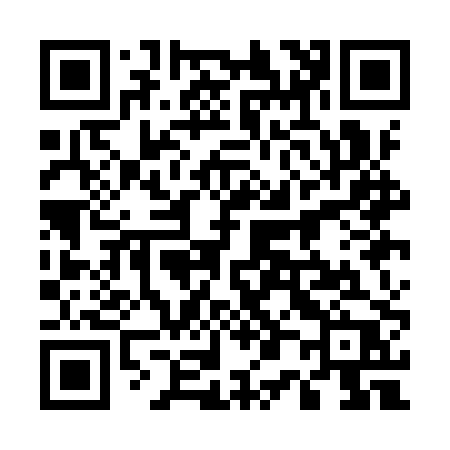 QR code for 501IPP
