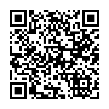 QR code for 5029LL