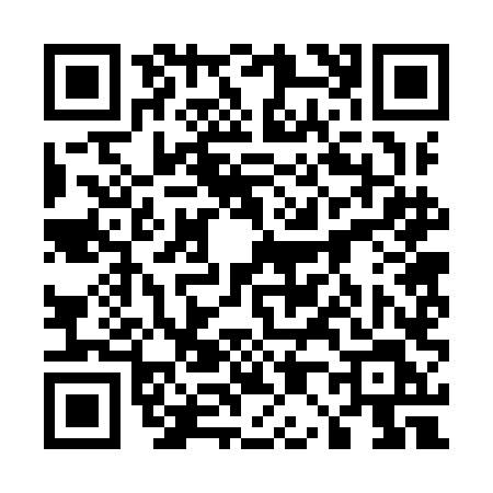QR code for 5029LLZ