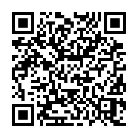 QR code for 5033IR