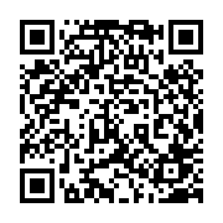 QR code for 507PPV