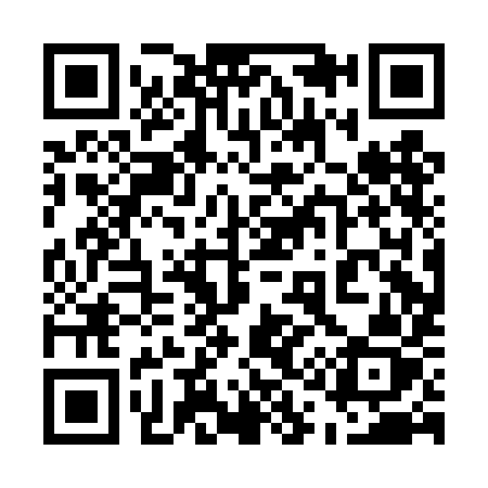 QR code for 510DIZ