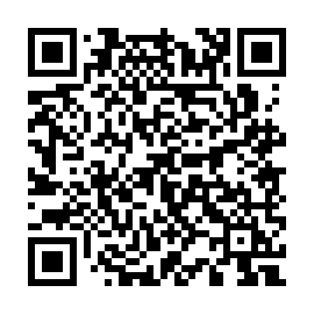 QR code for 5203MI