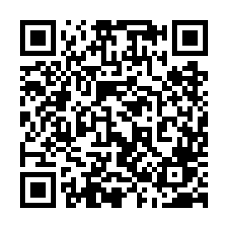 QR code for 5217DV