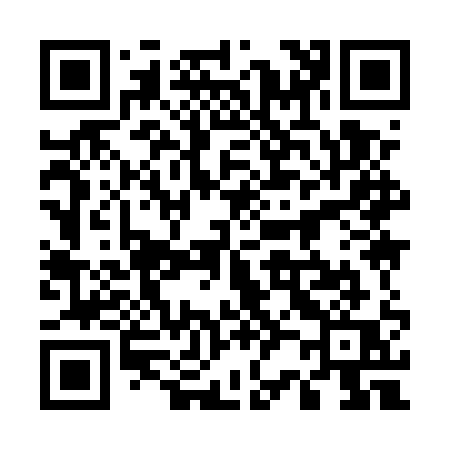QR code for 5295QQ