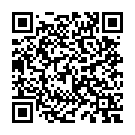 QR code for 533DWX