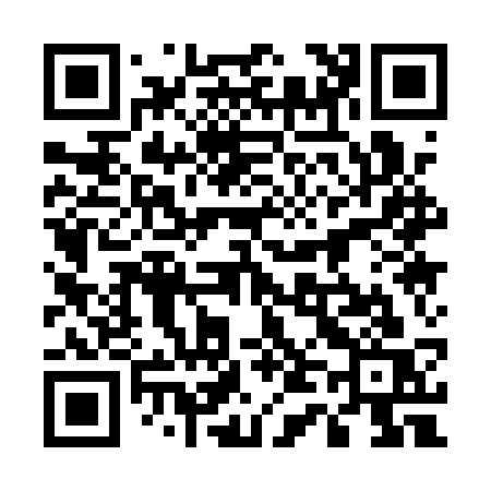QR code for 5411SS