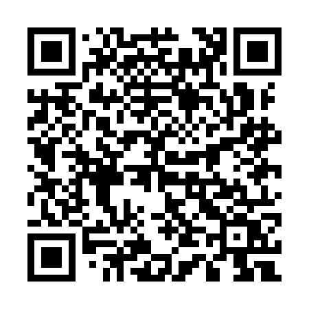 QR code for 541IOV