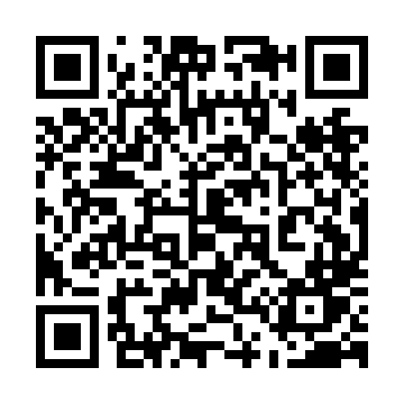QR code for 541NLT