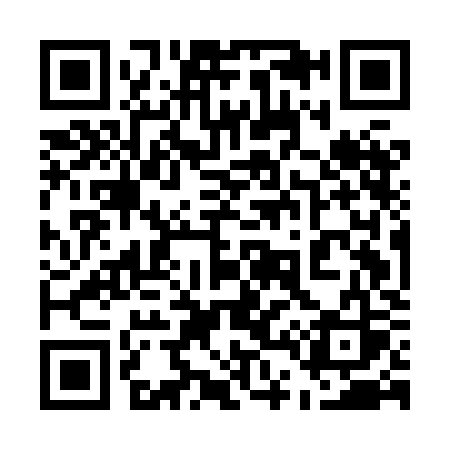 QR code for 545HKS