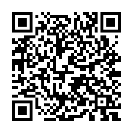 QR code for 550SUR