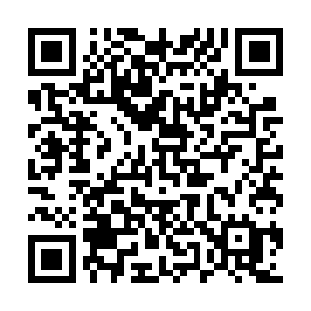 QR code for 555VSE