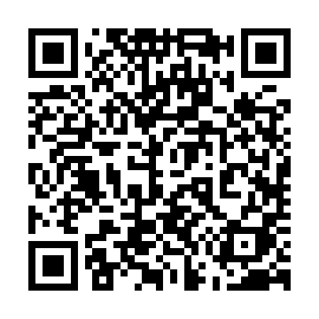 QR code for 5729PI