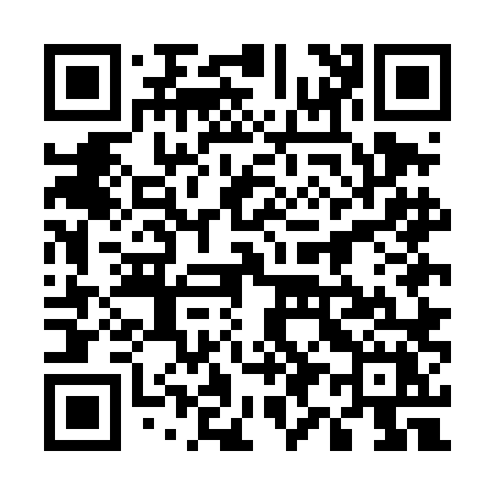 QR code for 595DLX