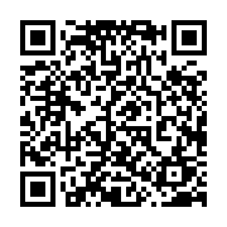QR code for 6009CT